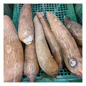 Amidon de tapioca modifié de qualité alimentaire Distarch acétylé Adipate d'amidon modifié E1422 - Product Image 6