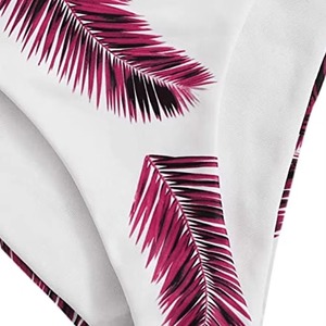 Traje de Baño Bikini sin Costuras de Dos Piezas, Tejido Suave para Mujer, Vacaciones en la Playa, Proveedor OEM Personalizado - Product Image 2