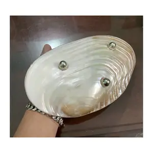 珍珠母盘套装菜肴贝壳鱼子酱海螺壳盘手工制作高品质配件展示盘