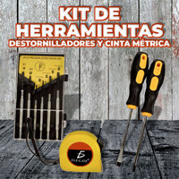 Juego de Destornilladores de Precisión, Acero al Carbono Forjado, Acabado en Aleación de Níquel, Estuche Rígido, Modelo HERM.04, para Computadora y Hogar