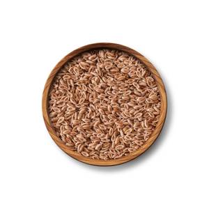 Orgánica cáscara de psyllium 98% suplemento de fibra natural a granel directo de fábrica al por mayor de La India - Product Image 3