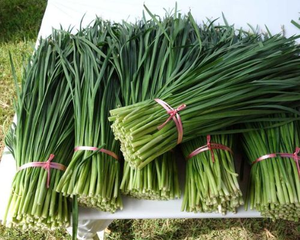 Cebollín Seco Premium de Vietnam, Liofilizado, 1.35 oz, Anillos de Cebollín Picados, Vietnam - Product Image 3