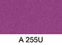 A255ยู