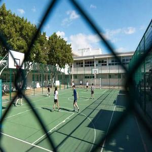 Clôture en treillis galvanisé enduit de PVC, anti-corrosion, 8 pieds, prix de gros pour l'Afrique (mines) et l'Amérique du <span class=keywords><strong>Nord</strong></span> (usage résidentiel) - Product Image 3