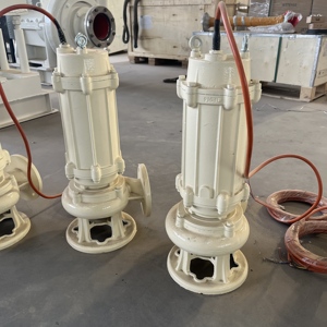 Heavy Duty Cast Iron Sewage <b>Pump</b> for Municipal Drainage System - Product Image 2