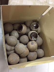 Cuenco de cáscara de coco sostenible superventas para servir el desayuno, cuencos para batidos y aperitivos, Idea de regalo perfecta, Loto Azul - Product Image 4