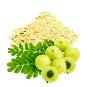 Poudre d'amla pure poudre d'amla crue indienne traditionnelle organique moulue à base de plantes de fruits secs naturels pour la cuisson - Product Image 2
