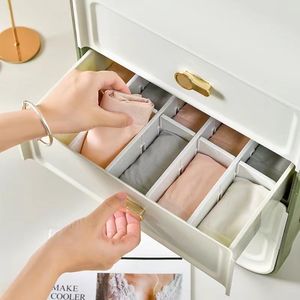 Molde <span class=keywords><strong>de</strong></span> cajón <span class=keywords><strong>de</strong></span> almacenamiento <span class=keywords><strong>de</strong></span> ropa interior <span class=keywords><strong>de</strong></span> <span class=keywords><strong>segunda</strong></span> <span class=keywords><strong>mano</strong></span> molde <span class=keywords><strong>de</strong></span> gabinete <span class=keywords><strong>de</strong></span> <span class=keywords><strong>calzoncillos</strong></span> <span class=keywords><strong>de</strong></span> sujetador usado - Product Image 4