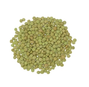 Lentilles séchées entières de qualité supérieure en vrac, lentilles rouges, lentilles vertes - Product Image 5