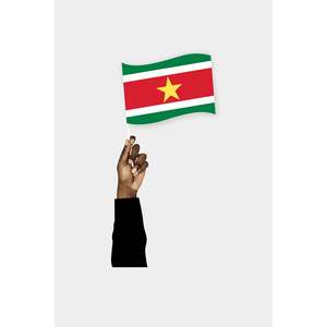 Poche Cheerleading Equipments Suriname's Pocket Flag - Product Image 1