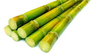 อ้อยแช่แข็งคุณภาพสูง เกรด A ราคาดีที่สุด สำหรับส่งออกจากเวียดนาม ปี 2023 - Product Image 5