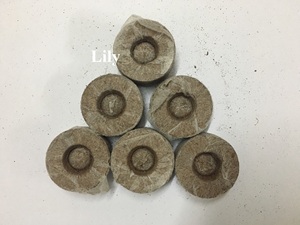 VietDelta Coco Plugs & Coir Pellets - Écologiques, haute rétention d'eau pour le démarrage des semis, qualité export - Product Image 3