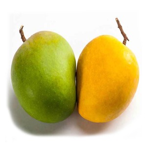 Beli Honey <span class=keywords><strong>Mango</strong></span> online-beli mangga segar Online