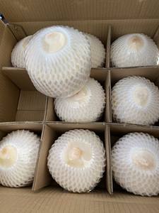 Noix de coco en forme de diamant jeune eau de coco douce Noix de coco Vietnam de bonne qualité et à des prix abordables - Product Image 3