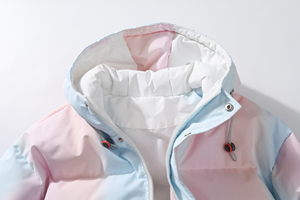 Veste à capuche rose-bleu ombrée décontractée pour homme Manteau d'hiver à col montant Poches fonctionnelles Pastel Gradient Canvas Material - Product Image 3