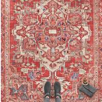 Oriental Vintage Red Rug by Netline Home-Traditional Style Area Carpet