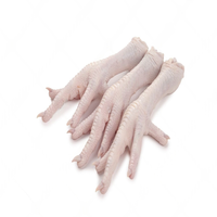 Pieds, ailes, cuisses et têtes de poulet halal surgelés de qualité supérieure, transformés IQF, emballage de qualité export