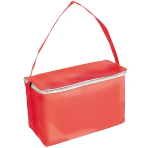 Borsa Termica Personalizzabile in Argento TNT per Gadget - Soluzione di Conservazione Refrigerata Personalizzabile - Product Image 4