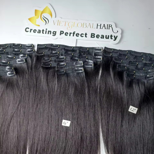 Vietglobalhair Haute Qualité Personnalisé Couleur Soyeux Vague Droite Clip-in Extensions de Cheveux Vierge Qualité Cambodgienne Fabriqué Vietnam - Product Image 1