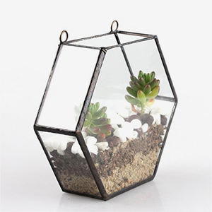 Terrarium métal et verre, dispositif en verre - Product Image 3