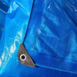 Tissu de bâche PE personnalisable le plus demandé pour les couvertures agricoles et la protection des cultures disponible au prix d'usine - Product Image 5