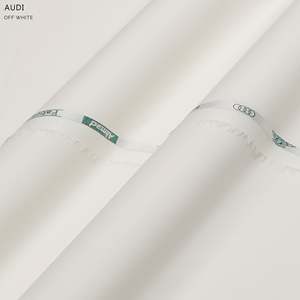 Costume Audi Worest - Product Image 6