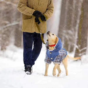 Wholesale Waterproof Pet <b>Coat</b> Dog <b>Coat</b> Dog Jacket for Outdoor Walks Super Lightweight for Pet comfort - Product Image 1