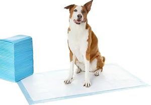 En gros Tapis absorbant pour chien avec languettes pour l'apprentissage de la propreté des chiots - Product Image 1