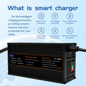 Cargador Rápido de 800W 60V 10A LiFePO4 para Vehículos Eléctricos de Tres Ruedas con Resistencia al Agua IP34 y Apagado Automático - Product Image 2