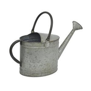 Arrosoir en fer galvanisé au design simple avec poignées en fer, arrosoir de jardin fabriqué par Home Arts - Product Image 1