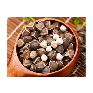 Graine de Moringa oleifera/graine de moringa en vrac meilleurs prix à vendre - Product Image 5