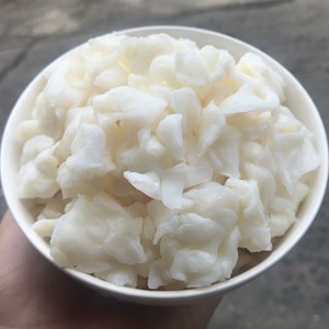 Nata de Coco Seca 1F10 de Vietnam 2023 - Product Image 1