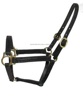 Fabricant de licou rembourré en cuir avec boucles et anneaux réglables fabriqué en Inde Licou en cuir de haute qualité - Product Image 2