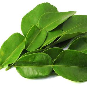 ใบมะนาวแช่แข็งธรรมชาติ/เกรดพรีเมี่ยม/พร้อมใช้งาน/บรรจุภัณฑ์จำนวนมาก/มาตรฐานการส่งออก - Product Image 1