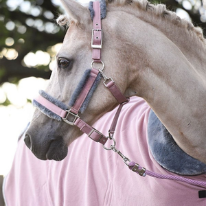 Brida ecuestre de cuero para exteriores, estilo inglés, hecha a mano con atención al detalle, adecuada para todo tipo de caballos. - Product Image 5