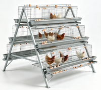 Cage à poulets de type A économique pour élevage de volailles
