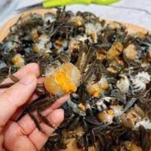 EXPORTACIÓN AL POR MAYOR PURÉ DE CANGREJO DE CAMPO CONGELADO VENDEDOR SUPERIOR DE VIETNAM CON GRAN VALOR - Product Image 1