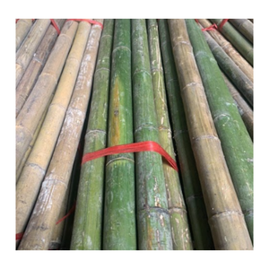Hot Sale - <b>Bamboo</b> Poles Big and Strong <b>Bamboo</b> Canes - <b>Raw</b> <b>Material</b> Treated <b>Bamboo</b> Poles for Gardening or Export - Product Image 3