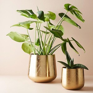 Maceta cilíndrica de metal elegante, maceta de hierro para sala de estar - Product Image 3