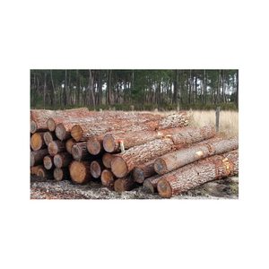 Solid Pine Wood Sawn Timber Lumber Premium Multipurpose Hardwood Boards Bubinga Timber Premium Quality <b>Logs</b> - Product Image 2