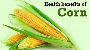 Chất Lượng Cao Màu Vàng Ngô Ngô Động Vật Thức Ăn Cho Gia Cầm Và Gia Cầm Bán Buôn Nhà Cung Cấp Và Xuất Khẩu Từ Ấn Độ - Product Image 6