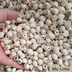 เมล็ดบัวอบแห้งออร์แกนิคพรีเมียม ปอกเปลือก ผลิตในเวียดนาม อายุการเก็บรักษา 12-20 เดือน จำหน่ายจำนวนมาก สำหรับทำซุป ชา และสมุนไพร-คุณลิมา - Product Image 3