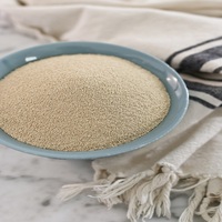 Poudre de levure sèche instantanée Saf Active pour la cuisson de la levure de vin emballée dans un sac