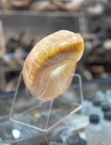 OEM High Quality Eco-Friendly Kudu Ram Horn Handcrafted Yemenite Shofar for Rosh Hashanah Kosher Natural <b>Crafts</b> Blown Kudu Horn - Product Image 2