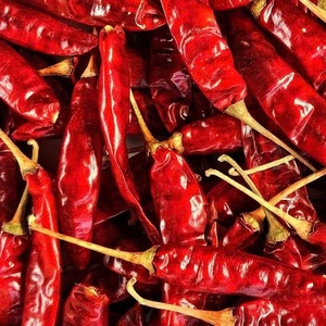 Mejor Venta de nueva cosecha de chile rojo seco a granel, venta al por mayor, chiles rojos picantes frescos - Product Image 6