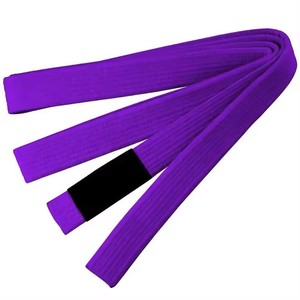 Tissu de tissage perlé de haute qualité avec logo personnalisé ceinture de Taekwondo 100% coton ceinture de maître MMA BJJ pour les MS-BB-03 d'entraînement d'arts martiaux - Product Image 3