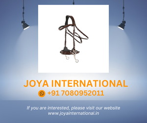 Bride de cheval éphémère Lydney Produit de cheval de qualité - Product Image 6