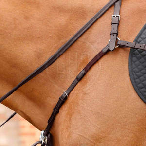 Precio razonable Material personalizado Coraza de equitación cómoda Coraza de equitación hecha en Pakistán - Product Image 2