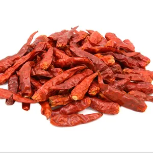 Venta al por mayor chiles picantes secos sin tallo buen precio de Vietnam/Chile rojo picante seco precio más barato 2024