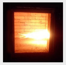 Incinérateur de déchets animaux - Product Image 4